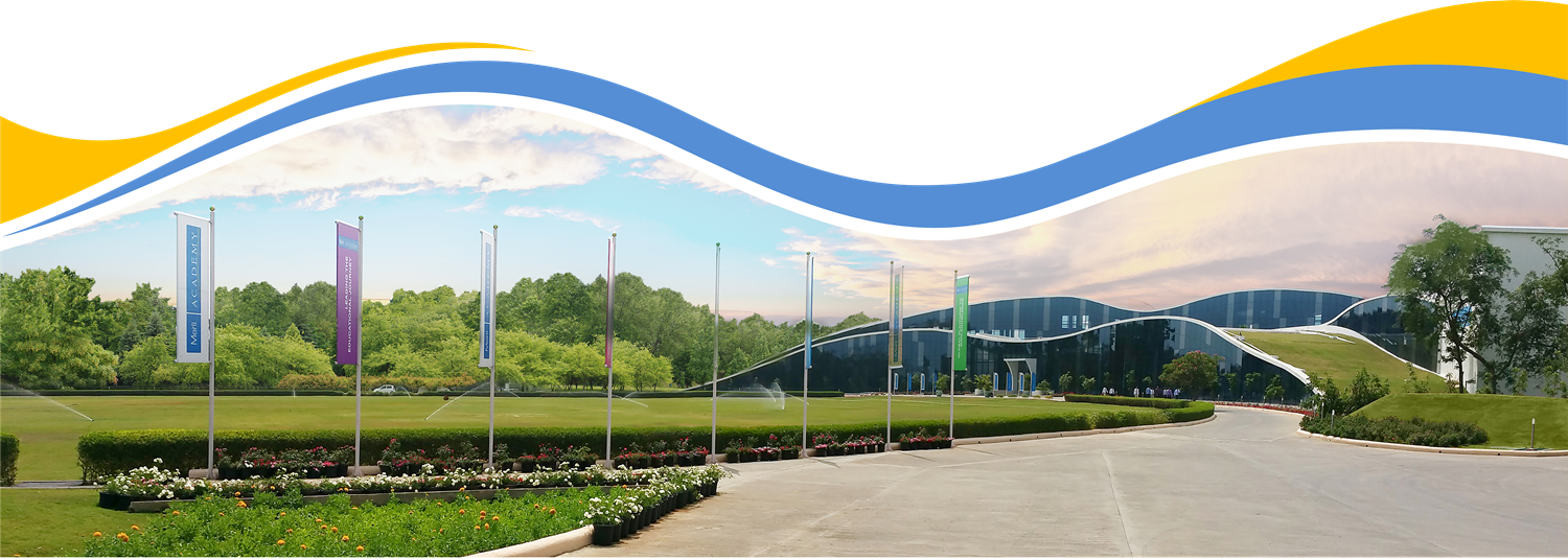 vuse go arome Meril Life Sciences main image 1
